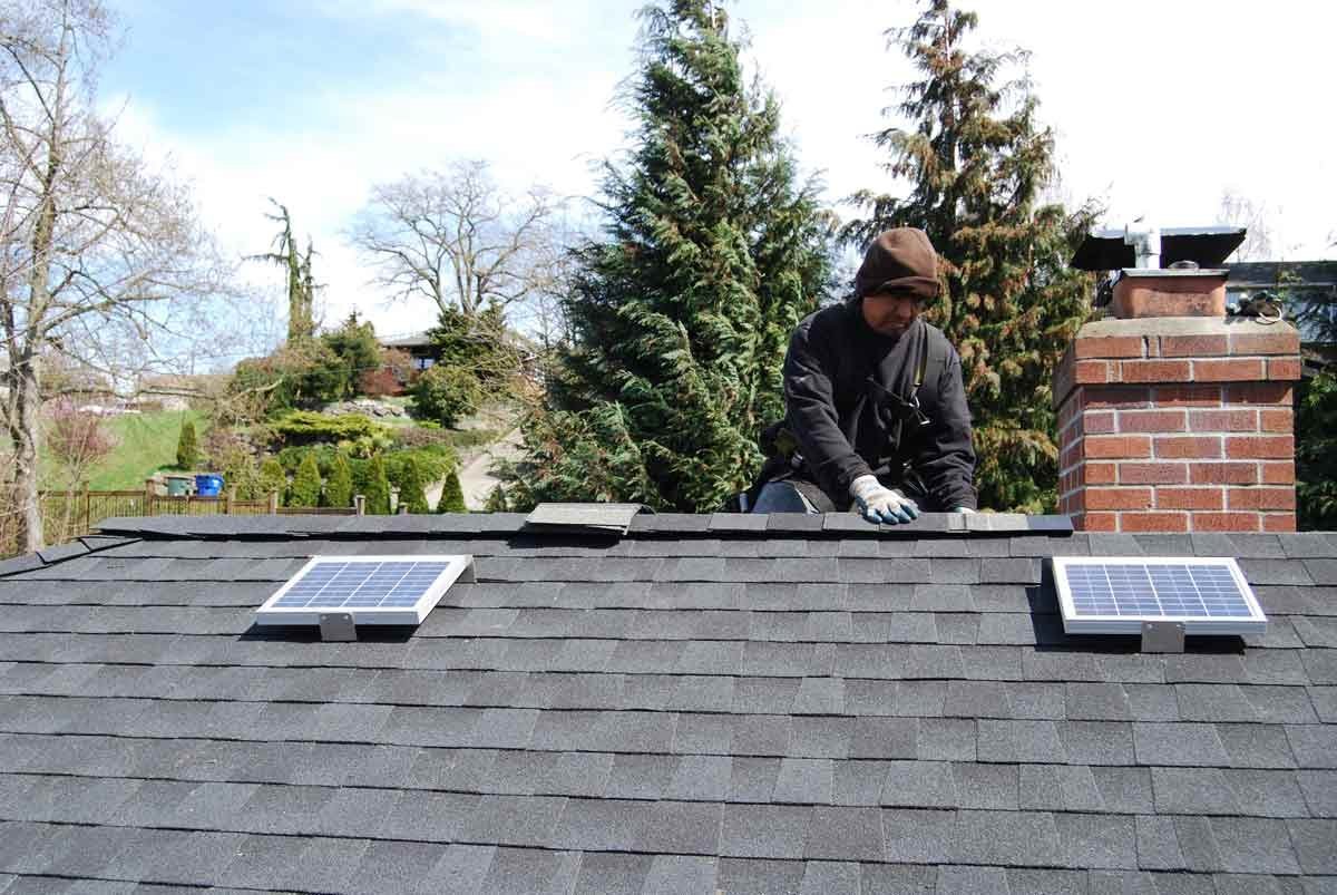 A roofer has installed two Solar RidgeBlasters on a shingled roof and is installing the shingles over the ridge vent cap.